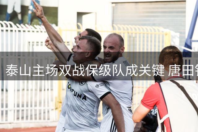泰山主场双战保级队成关键 唐田铁腕换瓦科显魄力