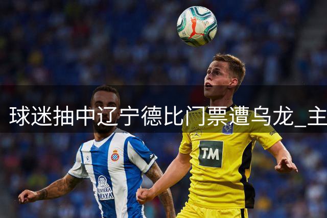 球迷抽中辽宁德比门票遭"乌龙" 主办方承认依赖黄牛购票引争议
