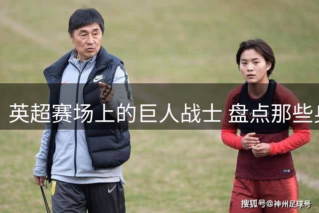 英超赛场上的巨人战士 盘点那些身高超过两米的非门将球员