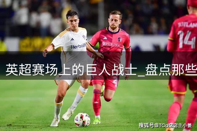 英超赛场上的巨人战士 盘点那些身高超过两米的非门将球员